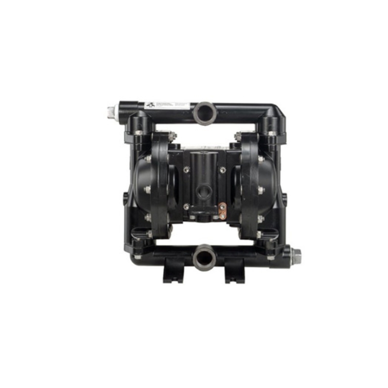 PD05P-XXS-XXX-B 12’’  ARO Diaphragm Pump
